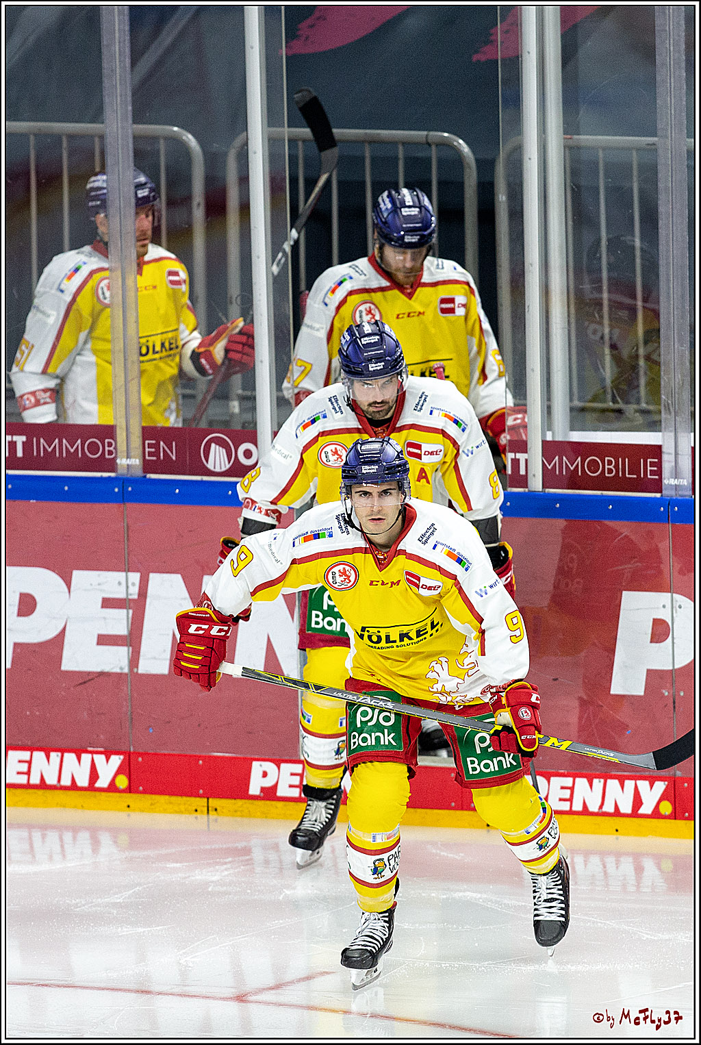 PENNY DEL;  Koelner Haie - Duesseldorfer EG ; Koeln, 17.12.2020
